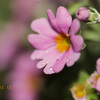 IMG_391420181216
