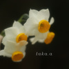IMG_668720190126