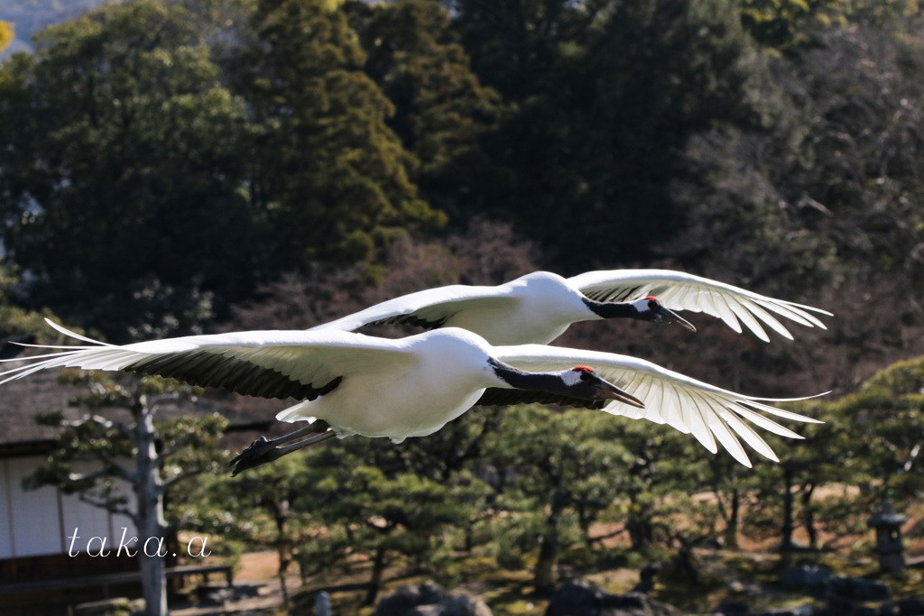 IMG_583520190103