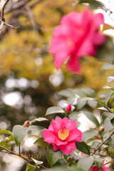 IMG_388420181209