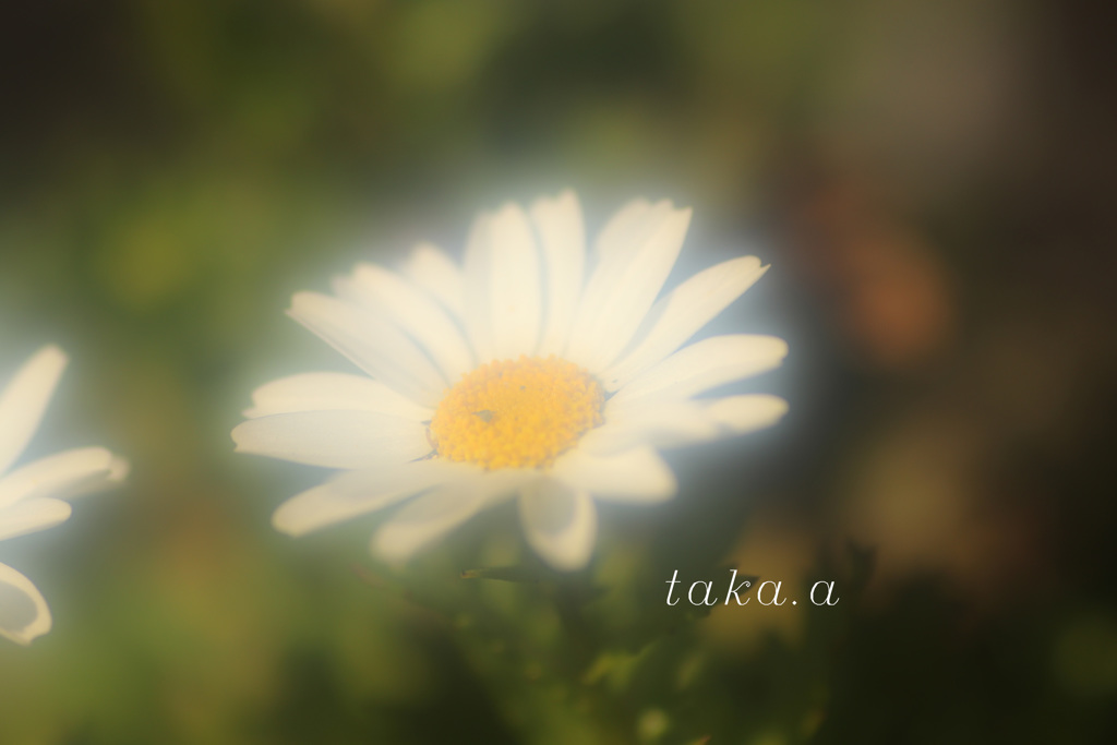 IMG_751420190226