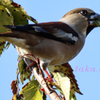 IMG_167920191113
