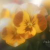 IMG_753220190226