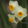 IMG_670320190126