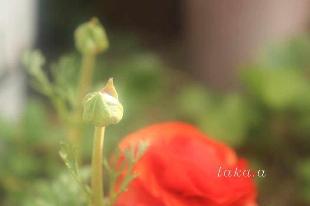 IMG_760320190301
