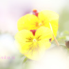 IMG_685620190202