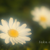 IMG_675620190130