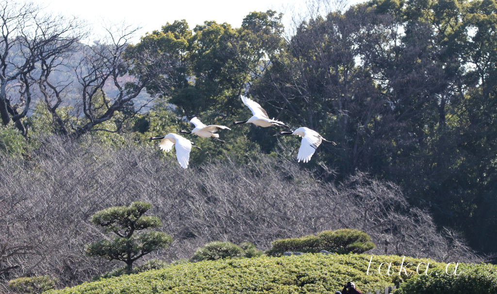 IMG_581720190103
