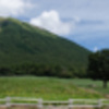 DSC0481520180814 - コピー