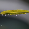 IMG_357920180921