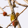 IMG_475820181209