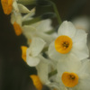 IMG_670120190126