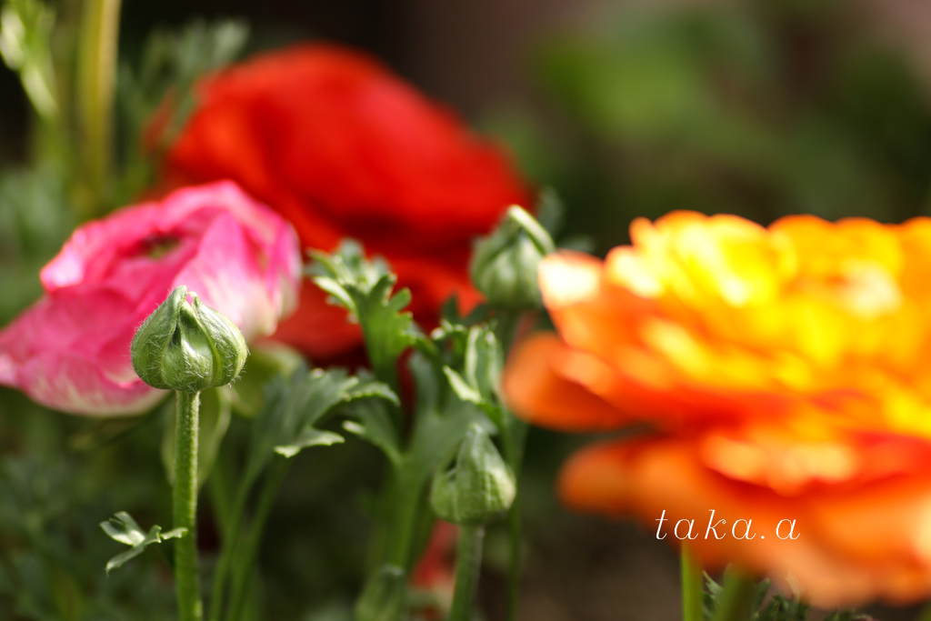 IMG_757820190301