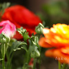 IMG_757820190301