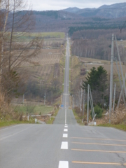 長～い一本道