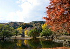 のど声公園にて