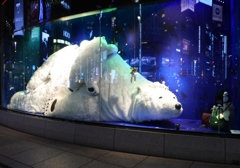 ｼﾛｸﾏ親子