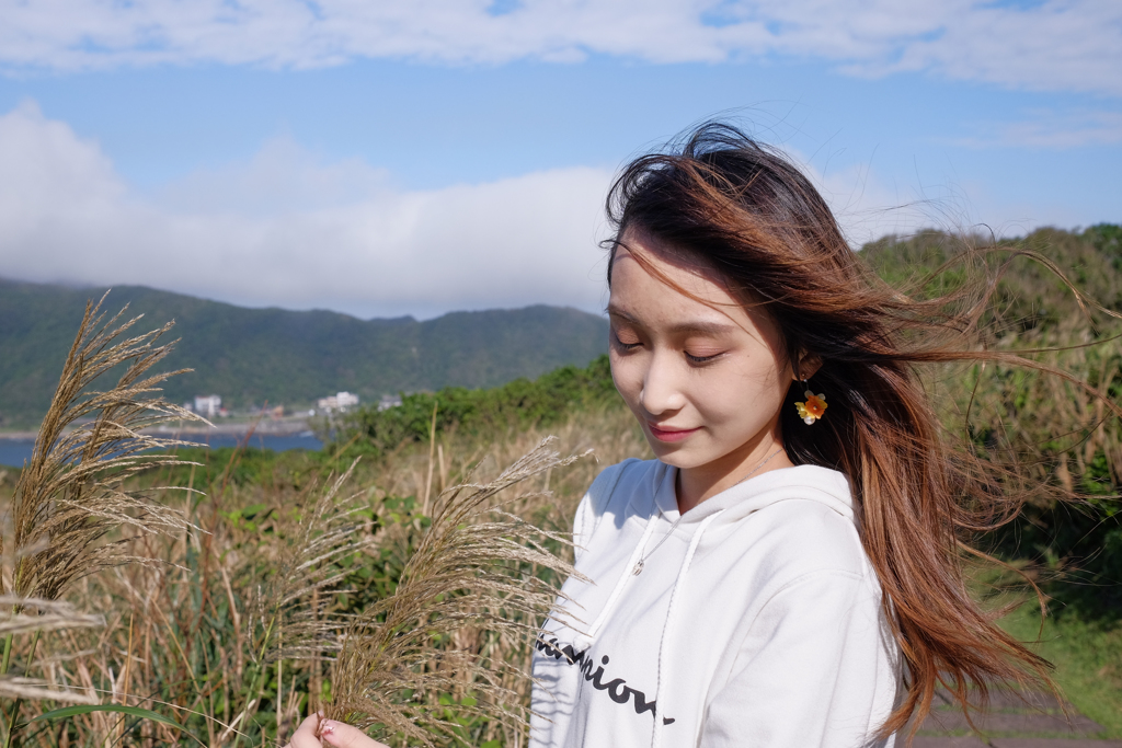 芒草 2