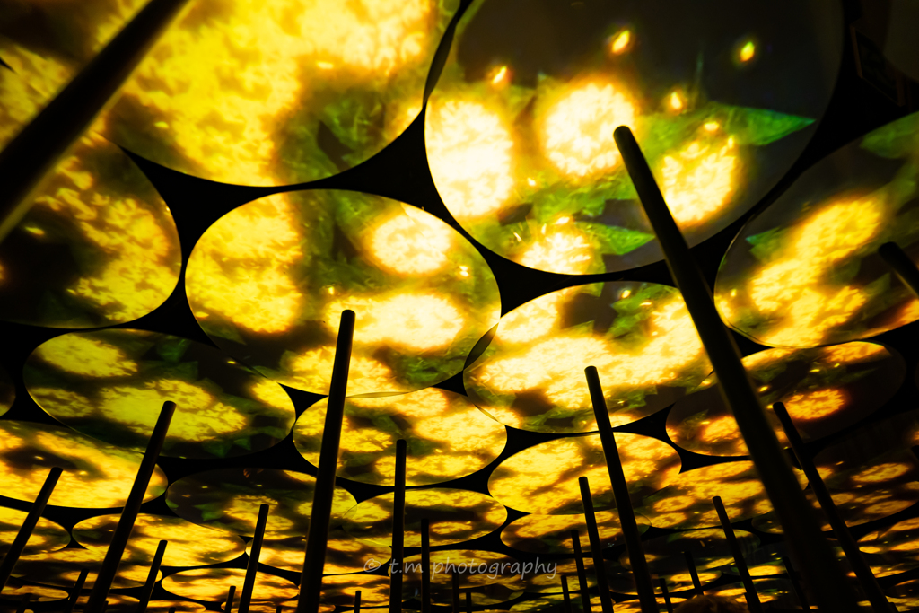 teamLab/地形の記憶　１
