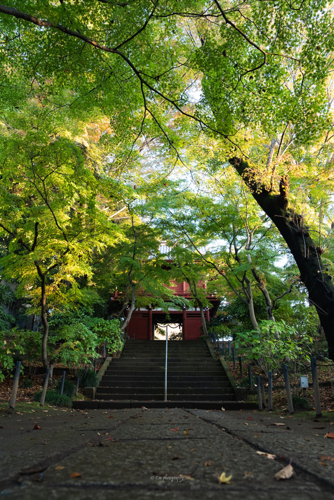本土寺ー2022
