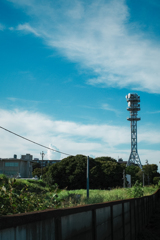 夏の雲