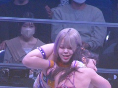 犯人犬じゃないのかなあ