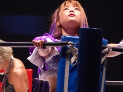 新春シリーズは