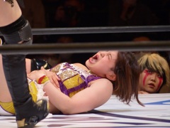 この年猪木ｖｓシンのＮＷＦ戦はたぶん4回