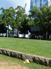 何のタイミングでしょう