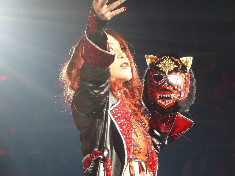 スターダム　中断中