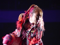 1960年にMSGでロッカとメインで対戦