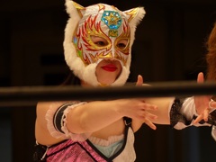 そおいやまたもウイリアムズだった