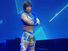 ハンセンが全日本行っちゃった頃に