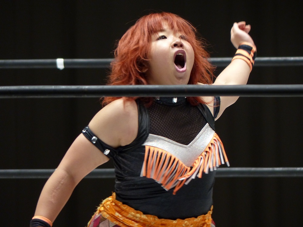 全世界のタイガーマスクファンを敵にまわしたな