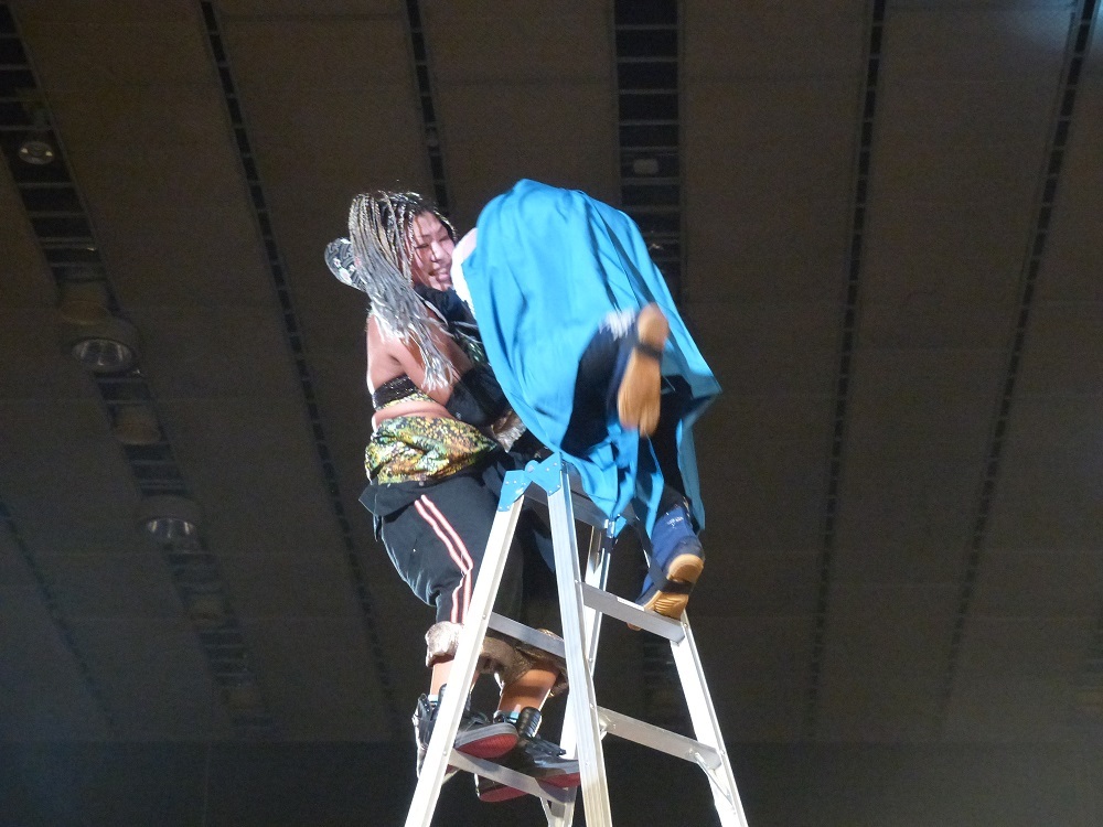 プロレス中断前