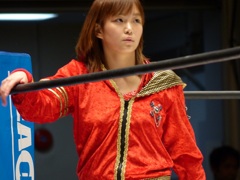 プロレスの方がまだテレビで見れるな