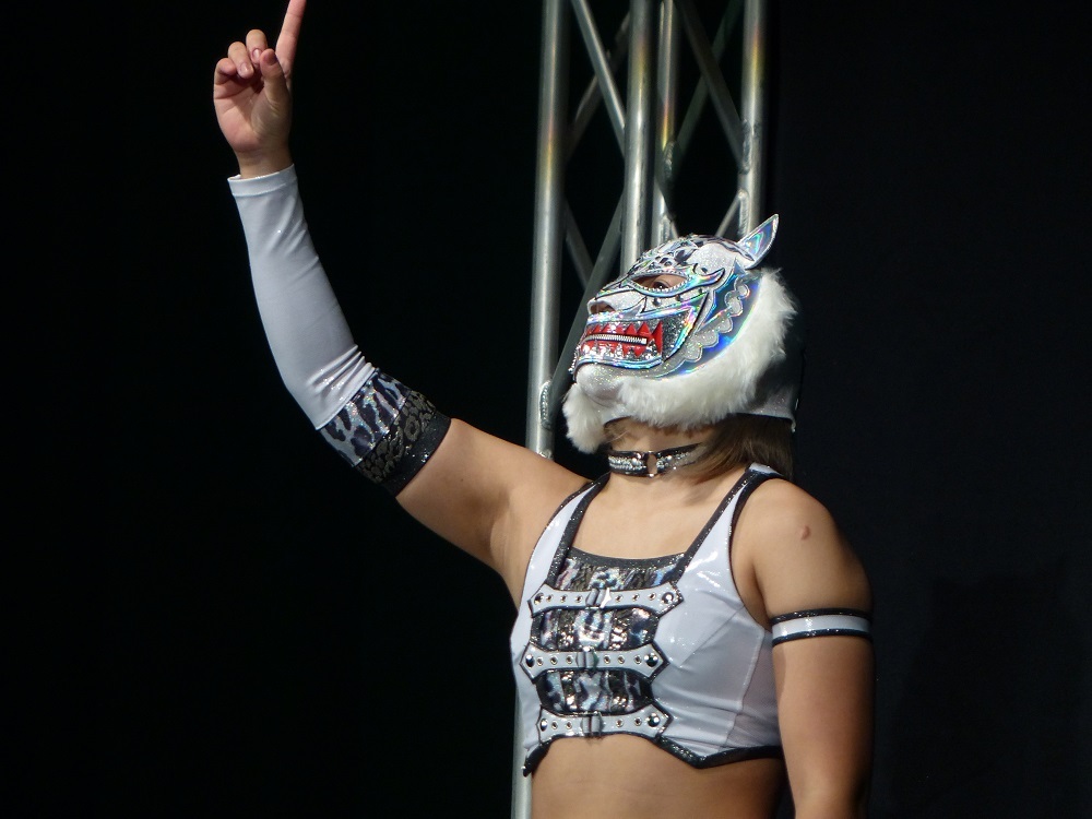 なぜか奴らはマスクをかぶる