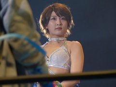 ドイツは国策だなんて記事を読んだことあるけどな