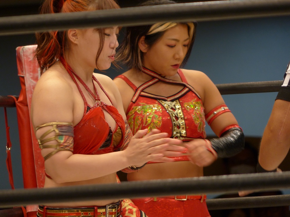 プロレスのタッグリーグは