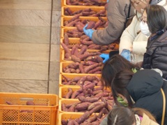 駅前でいも売ってたってなんてことないが