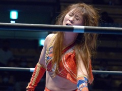 ハミルトン、ブラジルで優勝