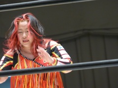 ドイツじゃバイエルンミュンヘンが11年連続優勝だけど