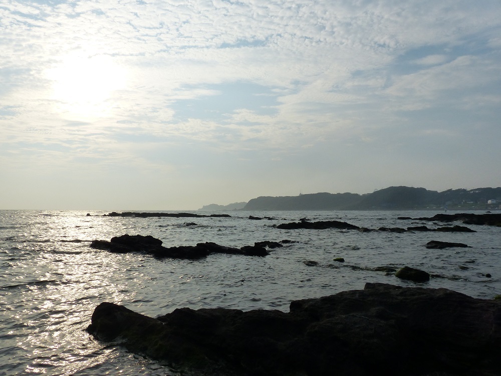 30週にわたってお送りしてまいりました