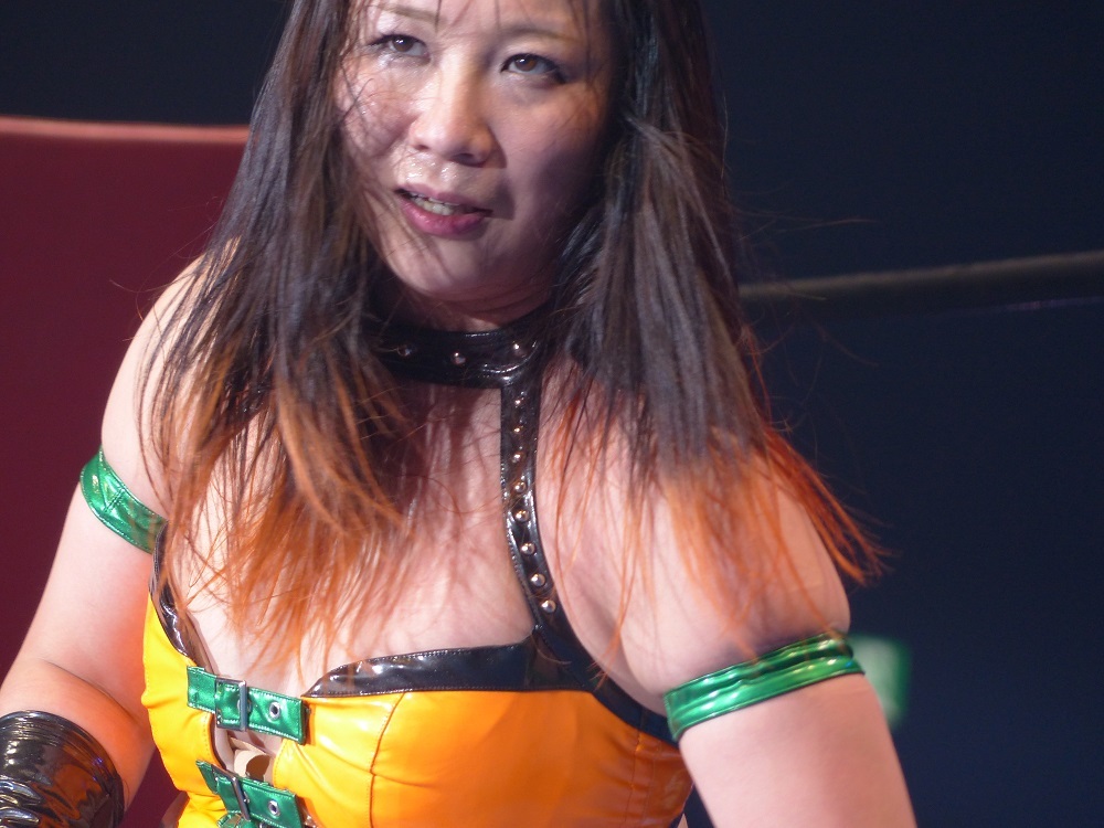 毎大会かどうかわかんないけど