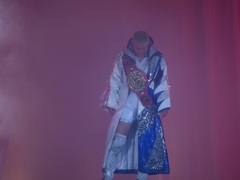 これたぶんメイウエザーｖｓサウールアルバレスの日