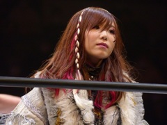 これはパソコンのみか