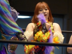 ダークタイガーがアミンで