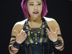 29日日曜日は仙台女子プロレス後楽園ホール