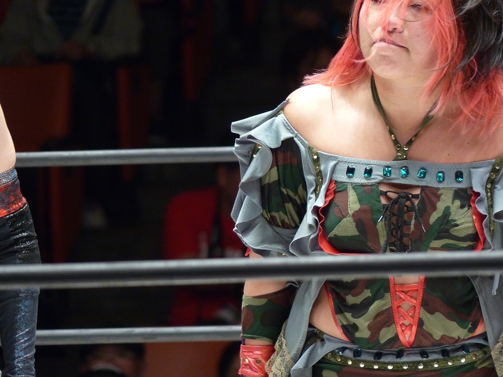 プロレスリングＷＡＶＥ、ＣＡＴＣＨ　ＴＨＥ　ＷＡＶＥ開催中