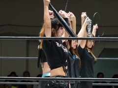 やつを止めるには